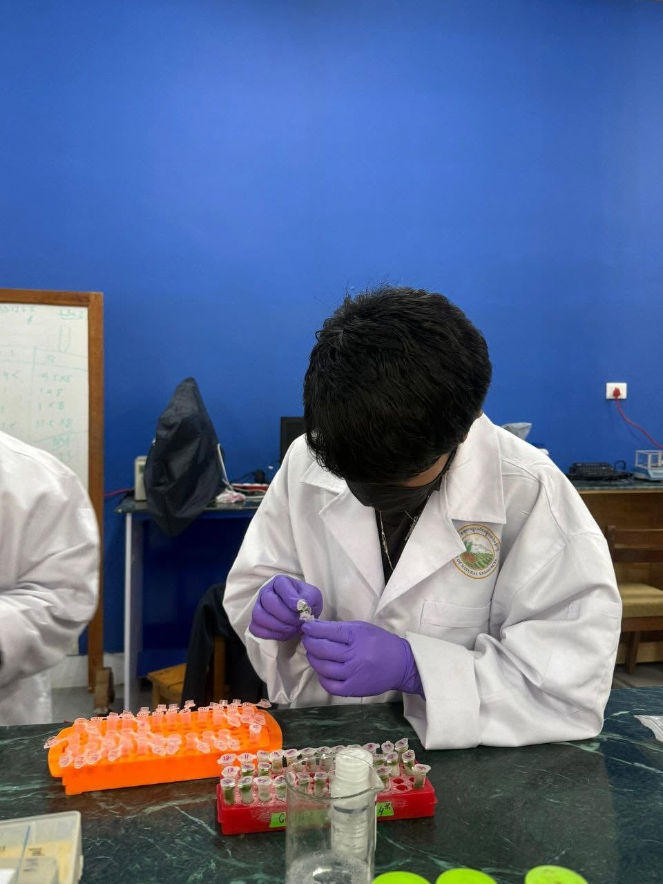 Laboratory practical session