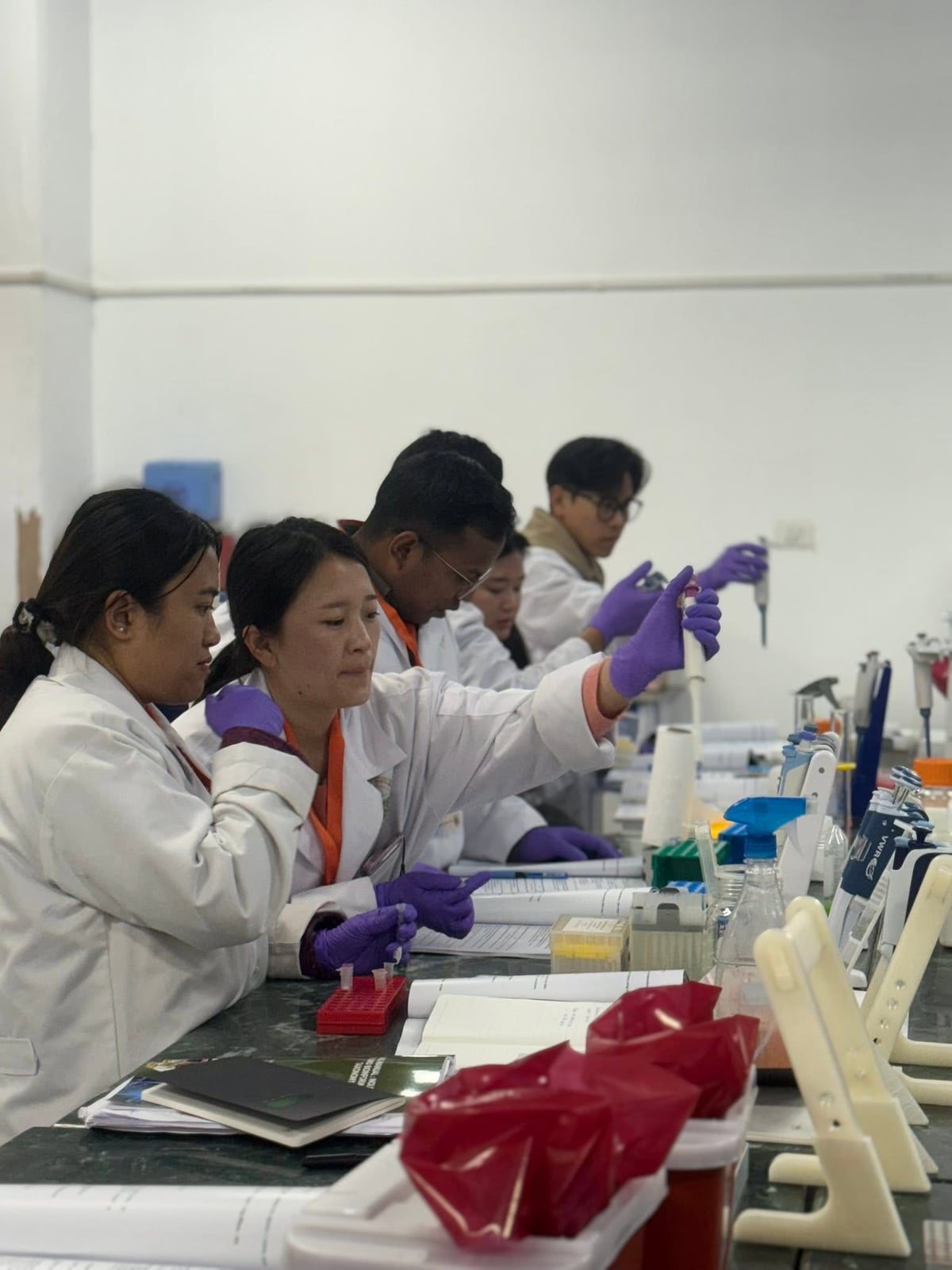 Forestry students working in the laboratory